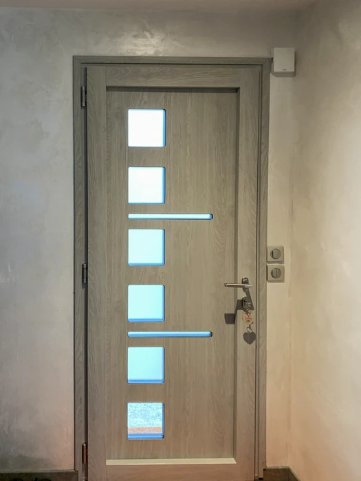 Intérieur d'un couloir avec une porte d'entrée moderne à panneaux vitrés lumineux bleutés, style contemporain